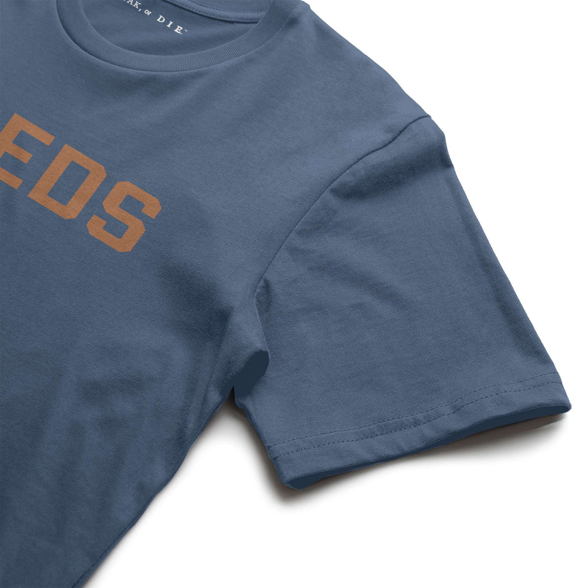 Premium Pigment Dye T Shirt