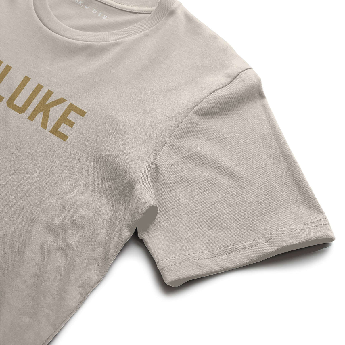 Premium Pigment Dye T Shirt